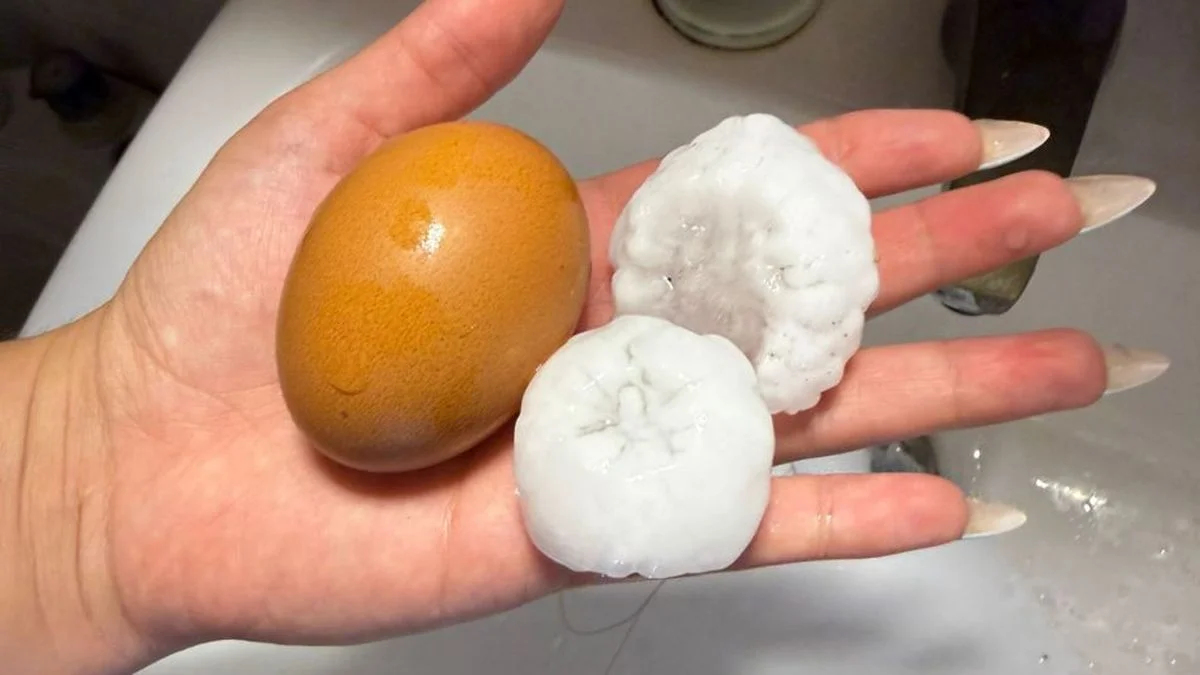 Una feroz tormenta de granizo azotó la Ciudad de San Rafael y sus distritos productivos