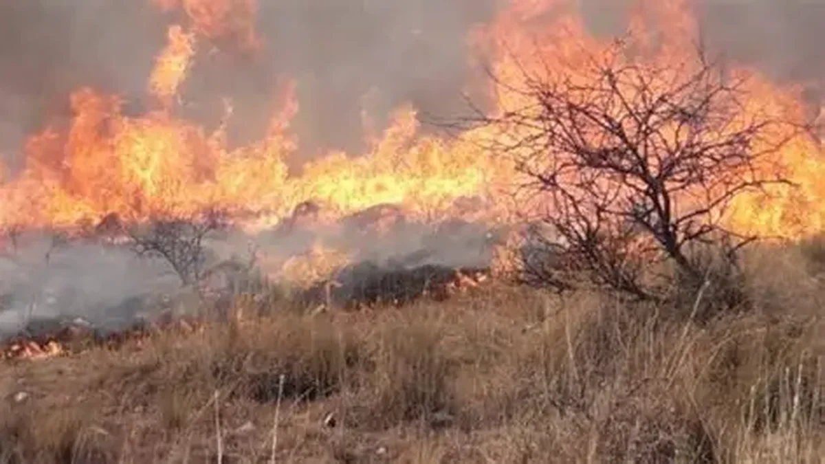 Capacitan a bomberos y brigadistas para unificar criterios ante la temporada de incendios