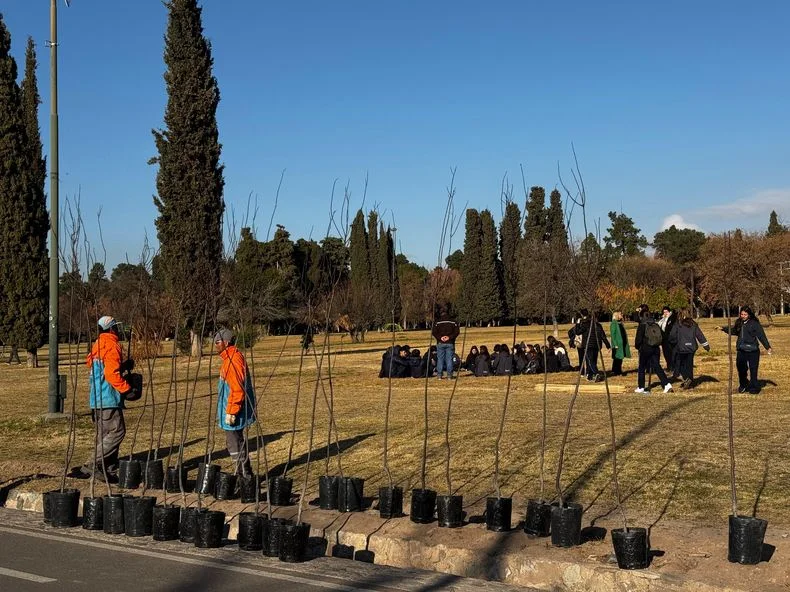 Alumnos plantaron &aacute;rboles en el Parque General San Mart&iacute;n.&nbsp;