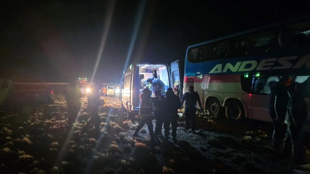 El comunicado de Andesmar por el accidente que involucró a uno de sus colectivos en Santa Cruz