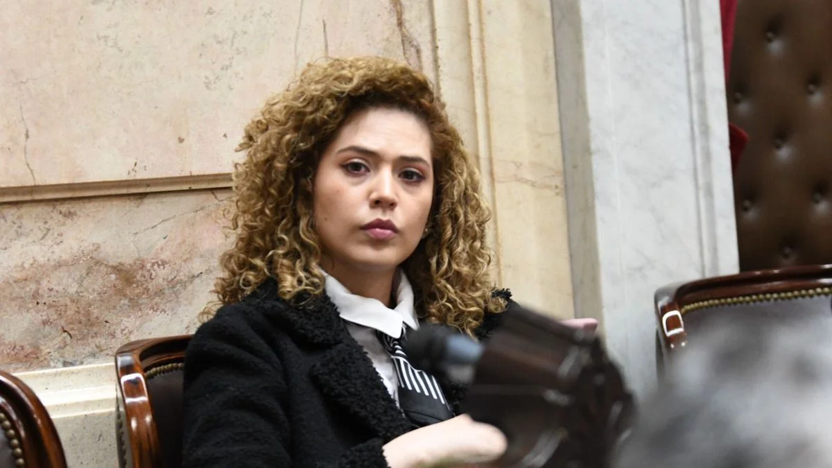 "Equilibrio fiscal con humanidad": la justificación de Lourdes Arrieta para votar la quita de la zona fría