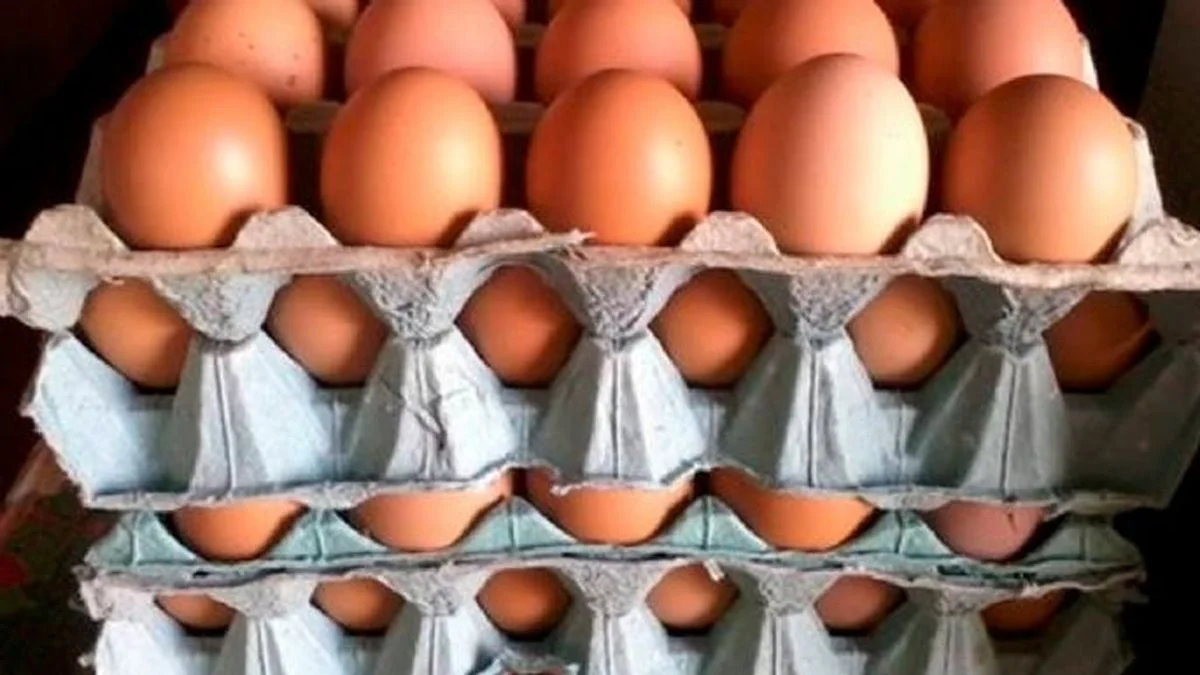 Porqué los huevos están por las nubes: fue lo que más subió de la canasta de alimentos