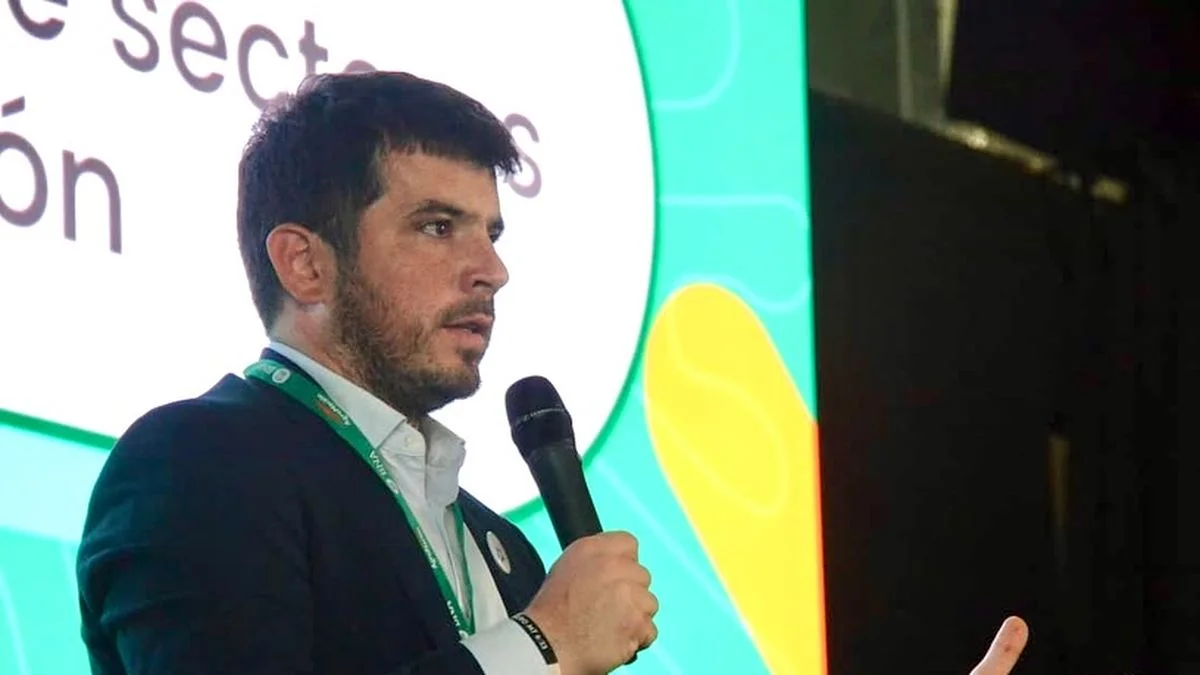 Pullaro y los radicales no aliados de Milei se anotan la conducción de la UCR: quién presidiría el partido