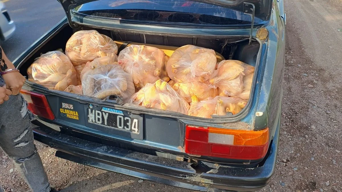 San Carlos: detuvieron a un hombre con comida en descomposición