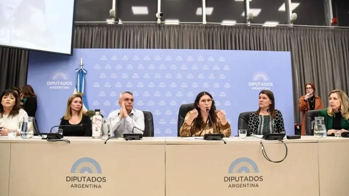 Diputados debate hoy el decreto que prohíbe la hormonización en menores y elimina el cupo laboral trans