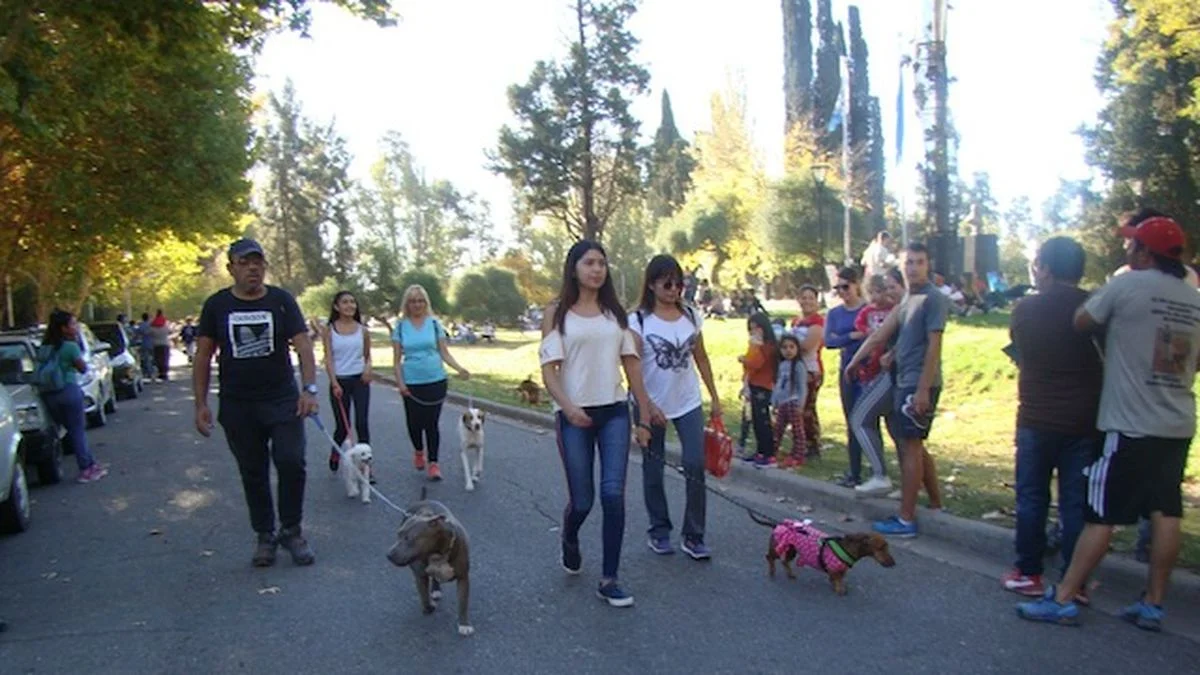 Un proyecto busca evitar que los perros sean discriminados por razas y comportamientos