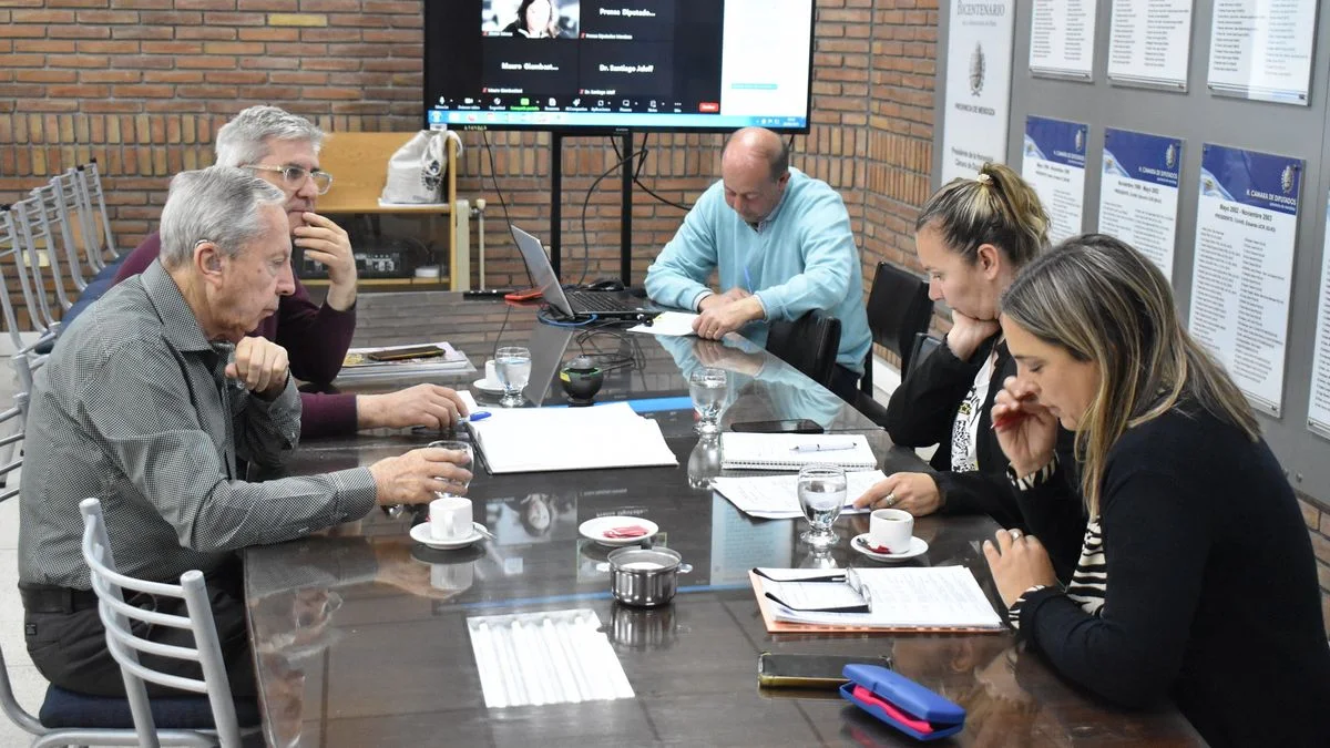 Diputados avanzan en proyectos de accesibilidad y derechos para personas con discapacidad