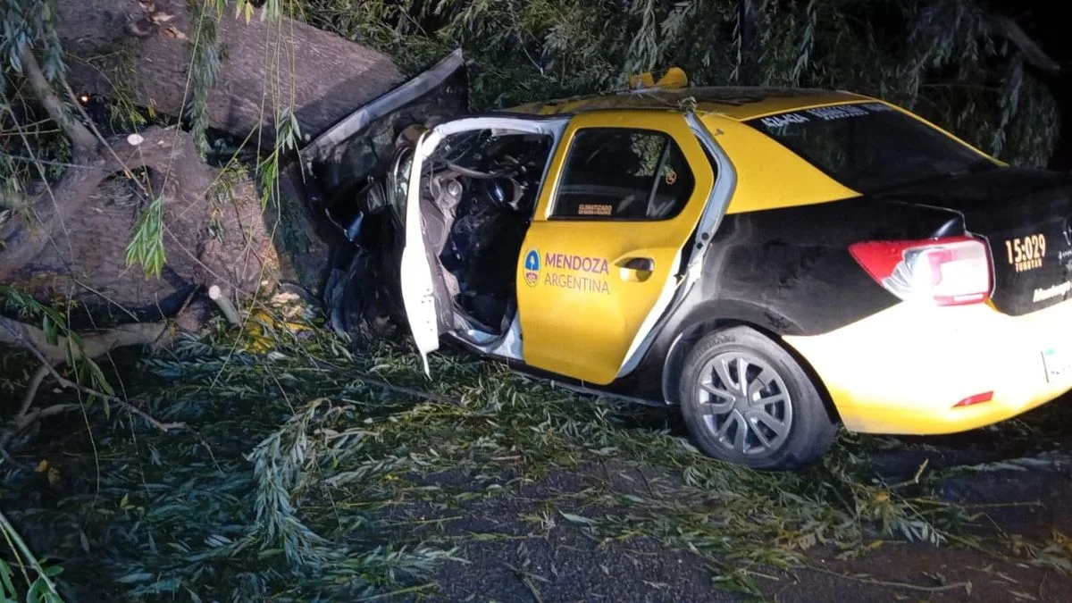 Trágico accidente: Un taxi chocó contra un árbol y falleció el conductor