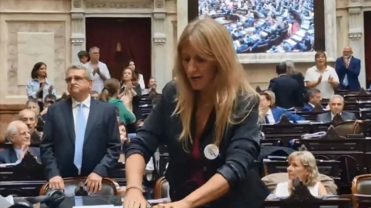 VIDEO: "Quedaste grabada, pedazo de loca": nuevo cruce de Lilia Lemoine y Florencia Carignano en Diputados