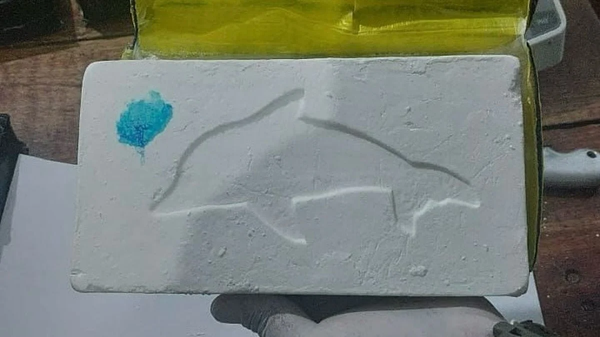 4 años de prisión por llevar cocaína: intentó escapar de un control hace 9 meses y ahora lo condenaron