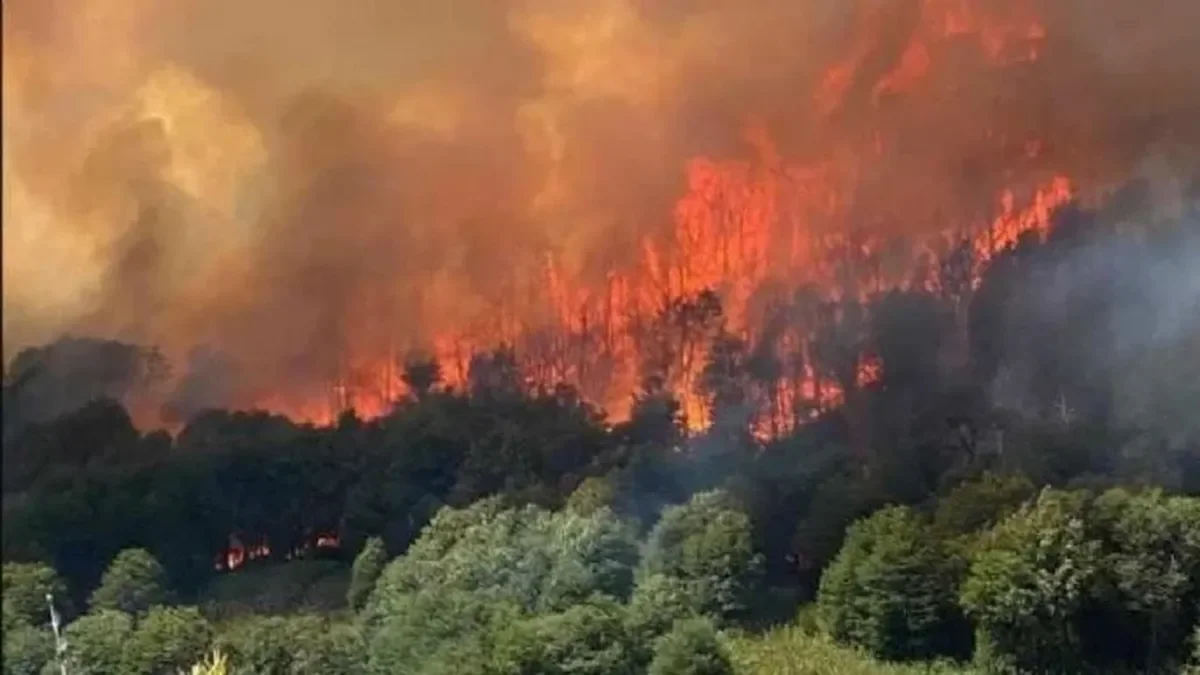 Incendios en todo el país: el nuevo subsecretario de Milei reconoció fallas: "No lo hemos hecho bien"