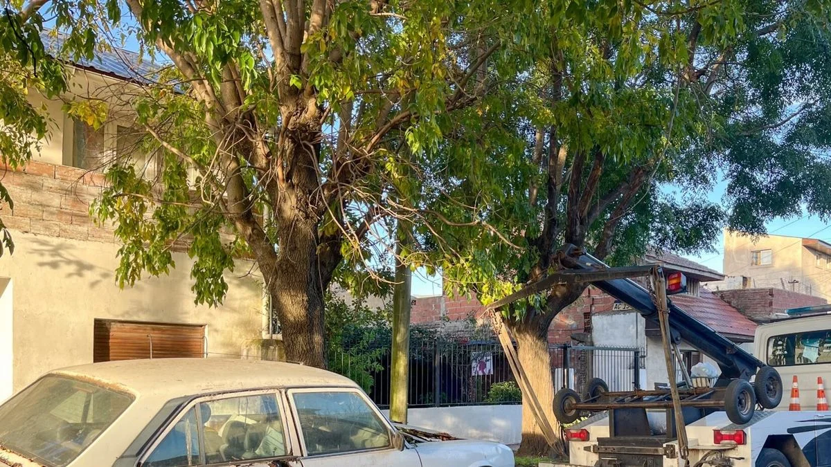 Chau autos abandonados en General Alvear: una ordenanza prohíbe que estén en la calle