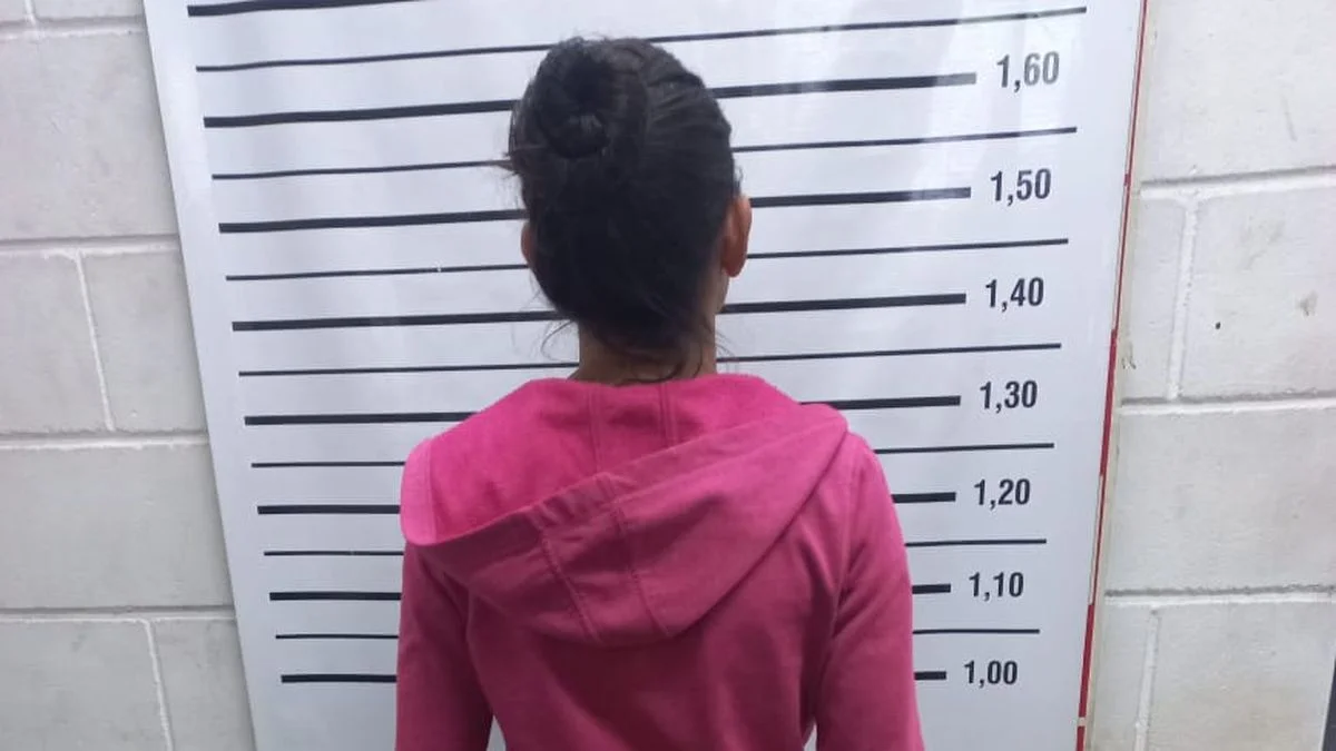 Desarticulan punto de robo de motos en Las Heras: una detenida y tres vehículos recuperados