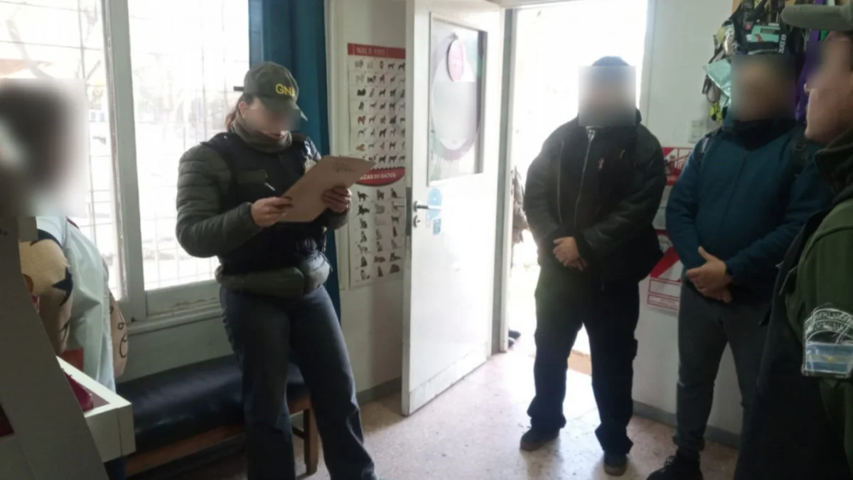 Funcionario del SENASA y veterinarias involucradas en supuesta venta ilegal de medicamentos oncológicos