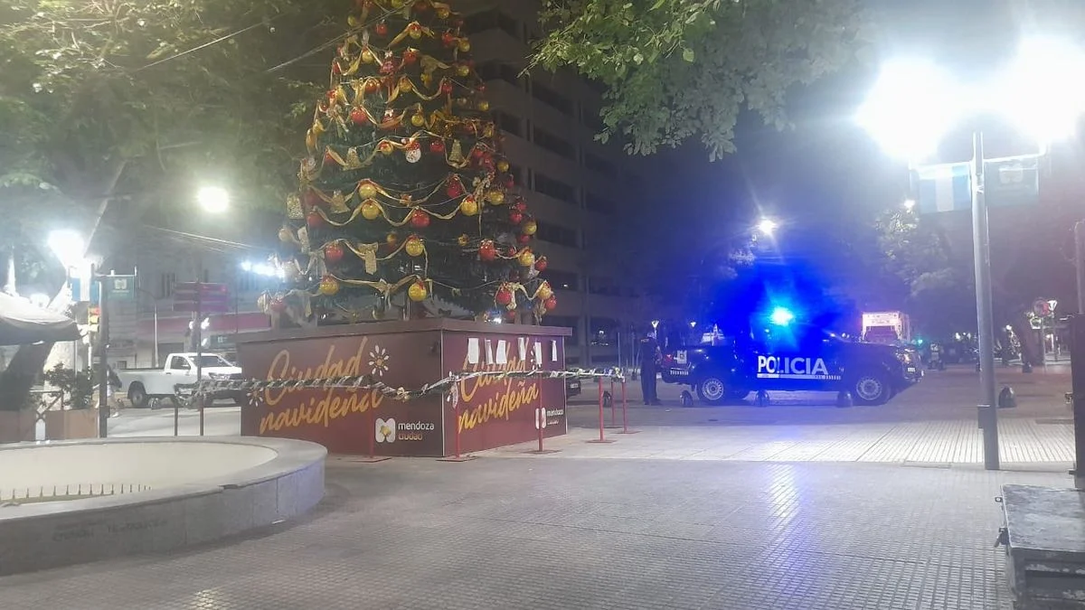 Un detenido por el incendio de un pino navideño en la Peatonal