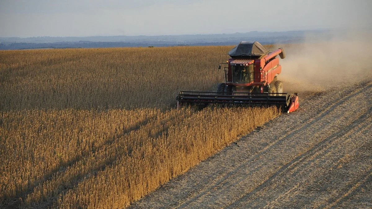 Milei oficializó la baja de retenciones para los empresarios del agronegocio