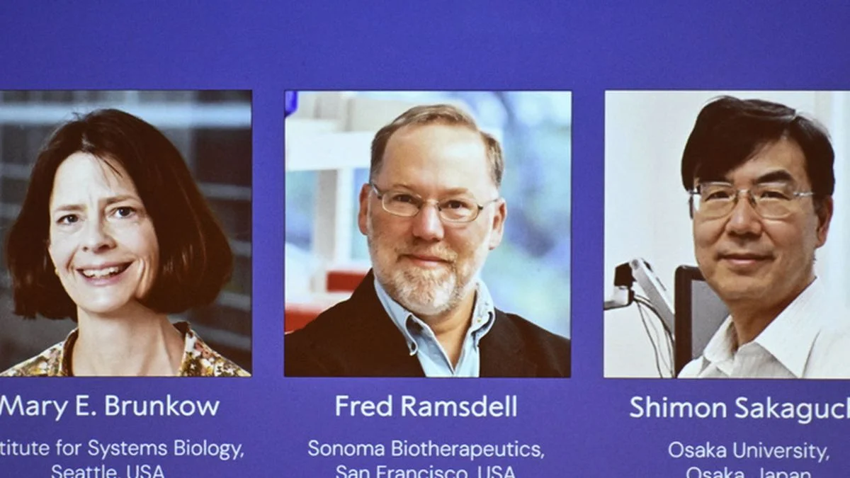El Premio Nobel de Medicina 2025 fue para tres investigadores del sistema inmune