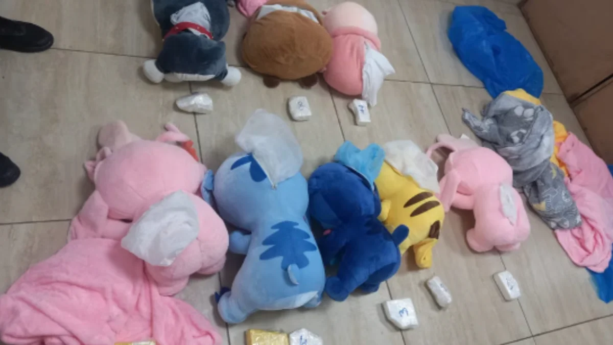 Rellenó peluches con cocaína: una mujer quedó detenida en Tucumán, el destino final era Mendoza