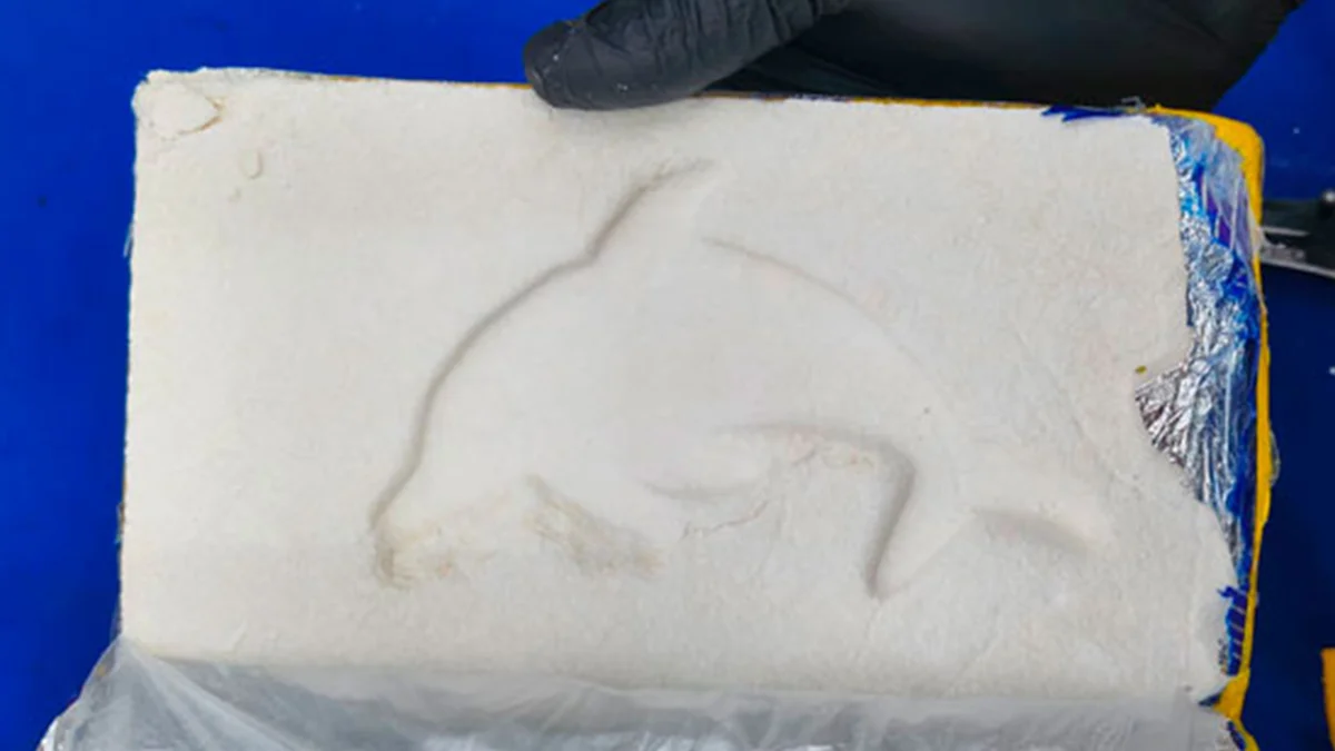 Cocaína de "El Delfín": secuestran 14 kilos de droga ocultos en un micro en Santiago del Estero