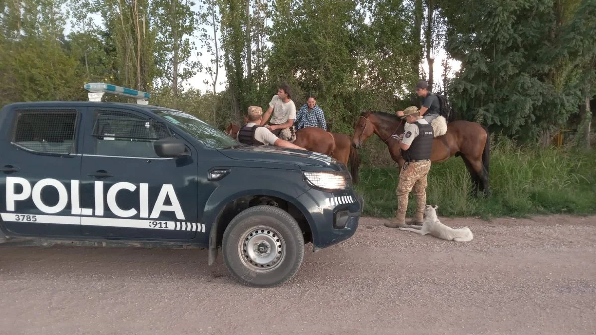 Animales muertos en una finca de San Rafael: descubrió que le faenaron dos burros