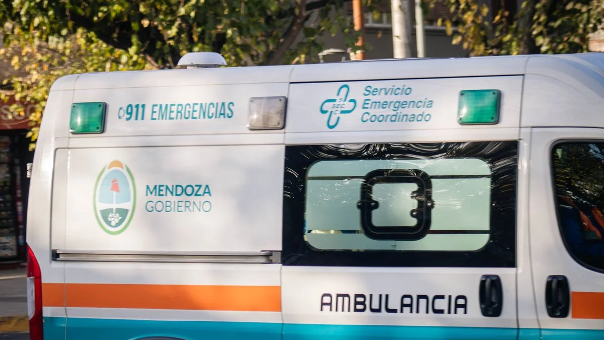 Tragedia en Luján de Cuyo: murió una nena de 2 años tras caer a una pileta
