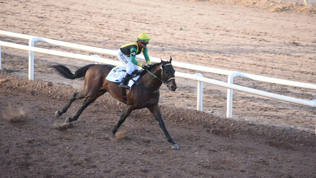 Turf: Code Breaker fue el ganador del Clásico Santo Patrono Santiago en el Hipódromo de Mendoza