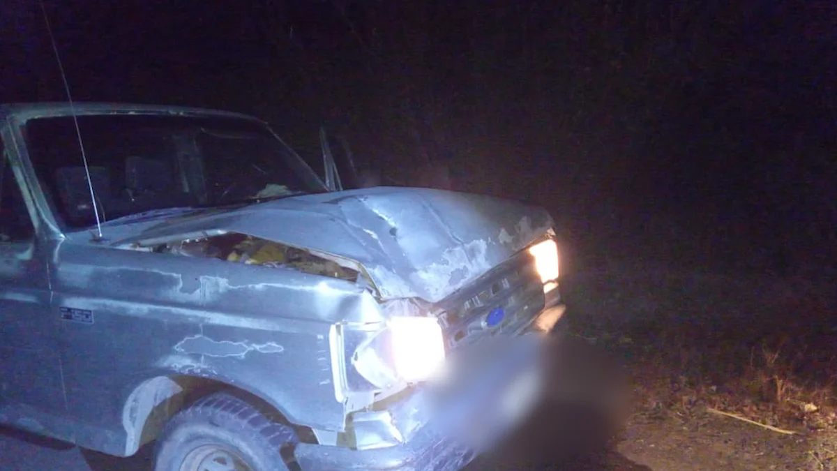 Un ciclista de 20 años murió tras ser atropellado por una camioneta en Lavalle