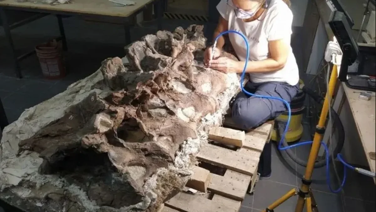 Eslabón clave en la evolución: revelaciones sobre el Bicharracosaurus, el dinosaurio descubierto en Chubut