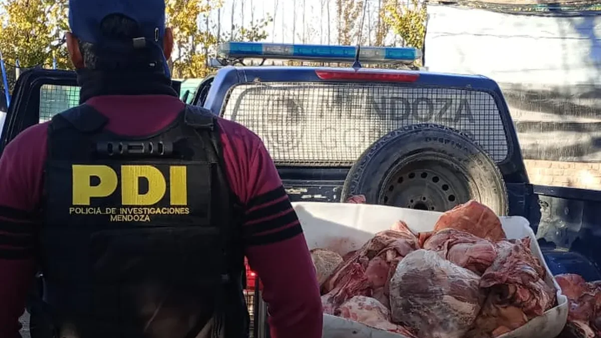 Decomisan cerca de doscientos kilos de carne no apta para el consumo y clausuran comercios en Godoy Cruz