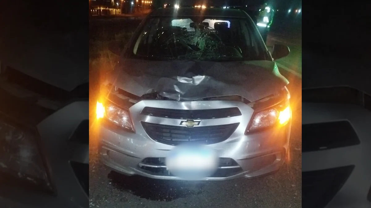 Una mujer murió atropellada en el Acceso Este y cuando policías trabajaban en el lugar un conductor ebrio los chocó