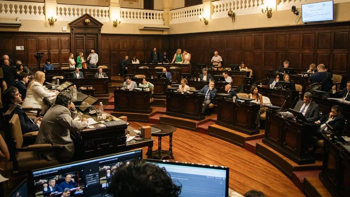 El Senado aprobó el Presupuesto con el acuerdo de la oposición y las leyes económicas