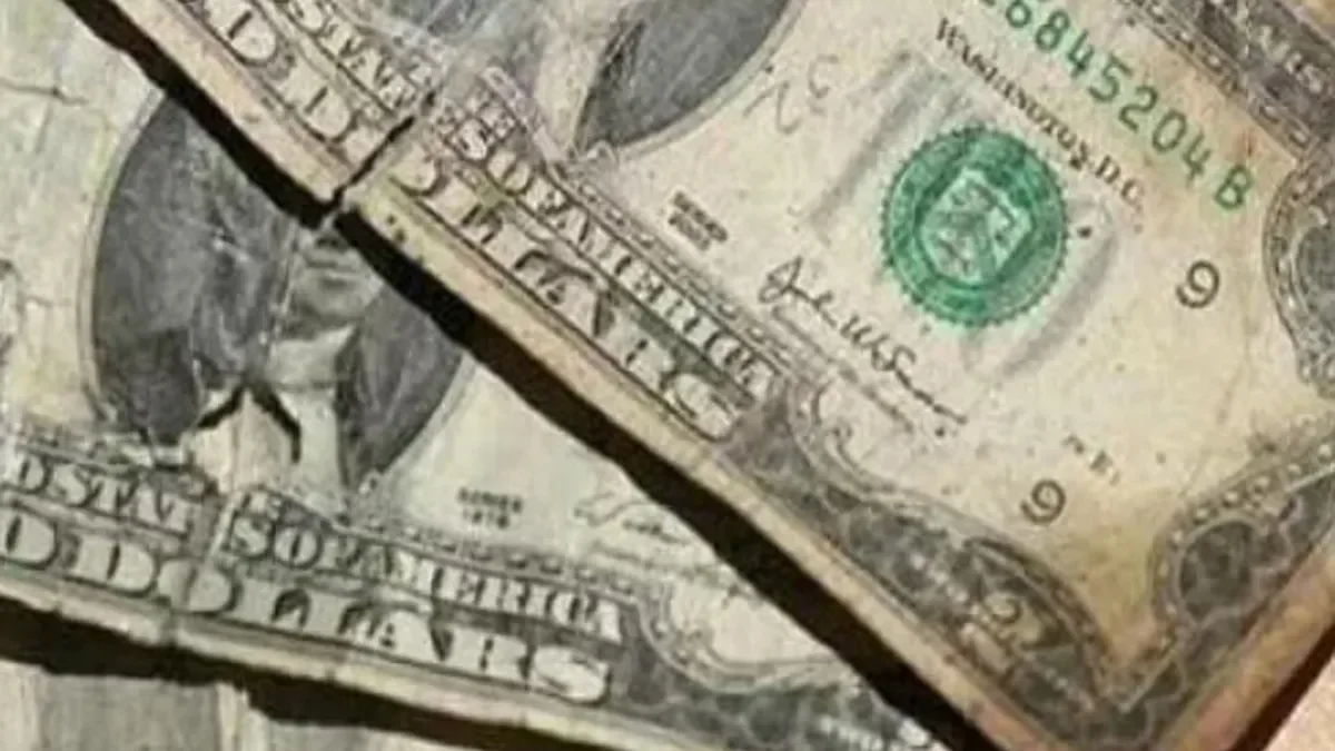 El dólar abrió el año al alza en sus versiones oficial y bursátiles: tocó máximos en dos meses