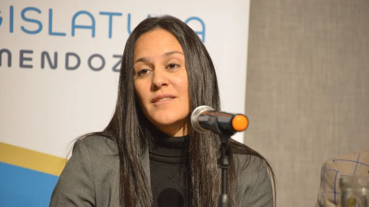 Audiencia Pública: la oposición "durmió" con datos omitidos por una candidata a jueza de Paz