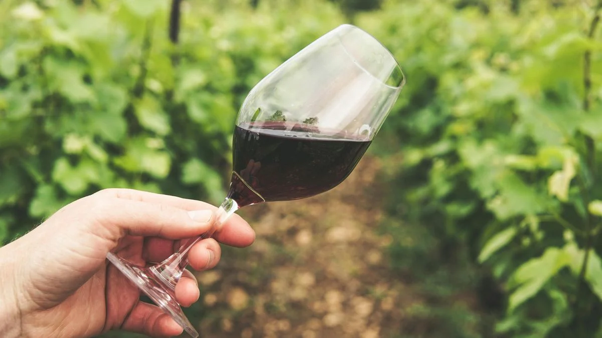 Del 4 al 27 de junio, Ciudad de Mendoza propone una experiencia que une paisaje, cultura y vino