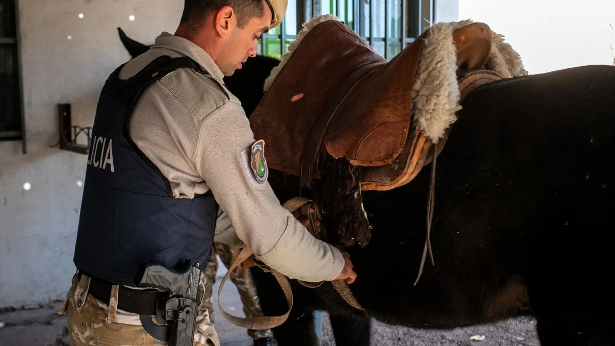 La Policía Rural decomisó 80 kilos de carne en dudosas condiciones