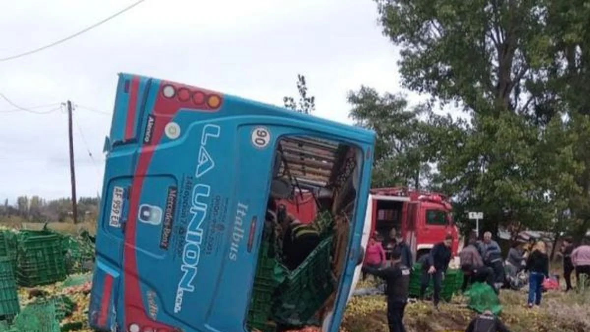 En un juicio abreviado, un camionero quedó libre por un accidente fatal en General Alvear