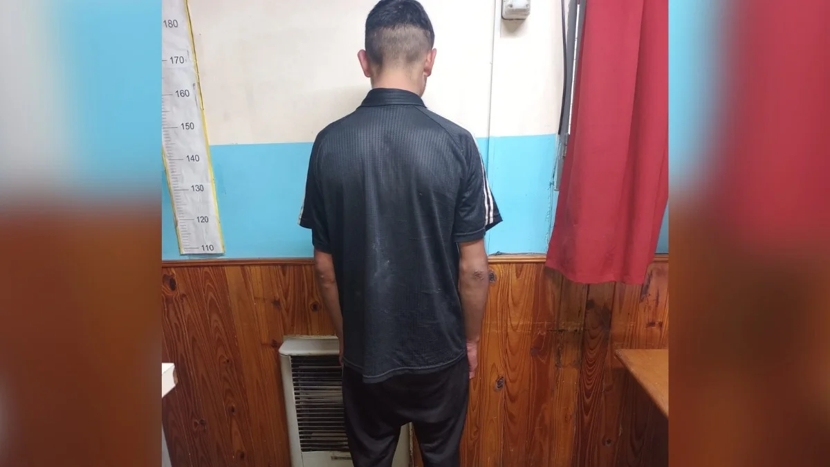 Robo en finca de Maipú: detuvieron al segundo sospechoso durante operativos preventivos