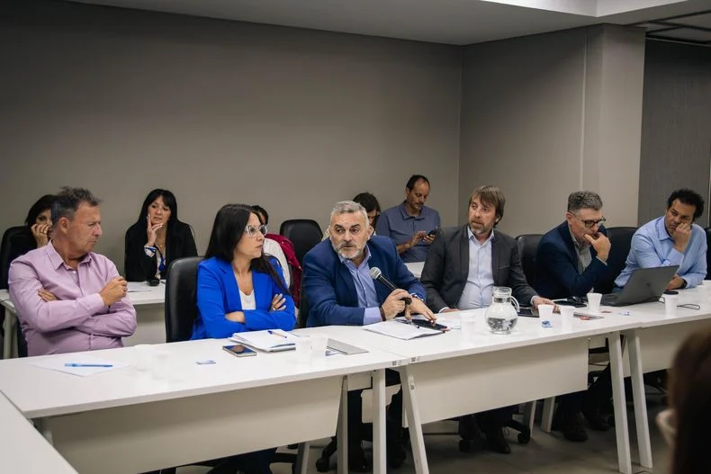 El senador F&eacute;lix Gonz&aacute;lez (PJ) pidi&oacute; que se avance y realiz&oacute; sugerencias sobre las medidas del cuadro para votar la lista completa.&nbsp;