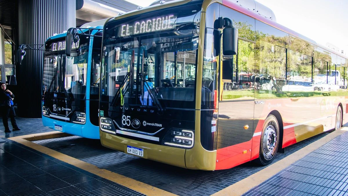 Habilitan un servicio especial de transporte para la Fiesta Nacional de la Vendimia