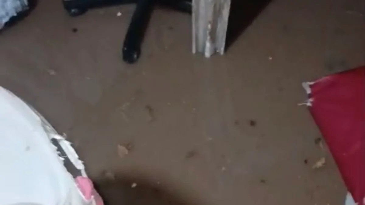 Por las fuertes tormentas, una familia de Malargüe perdió todo en su casa