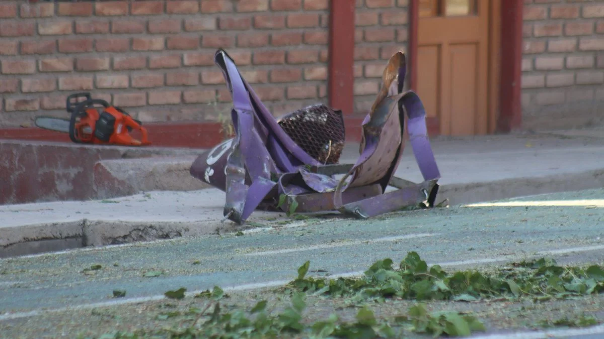 Tragedia frente a Palmares: qué dice el primer informe sobre cómo ocurrió el accidente