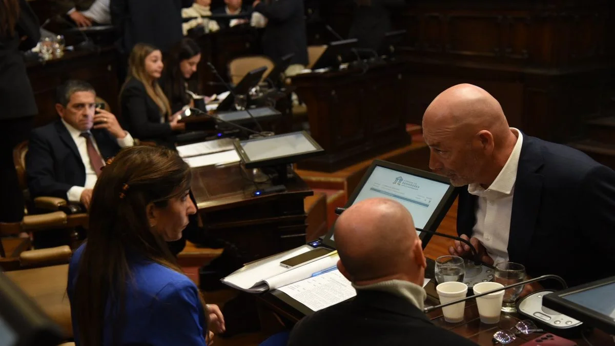 Minería: el Senado avanzó con un proyecto de litio que esperan en el sur