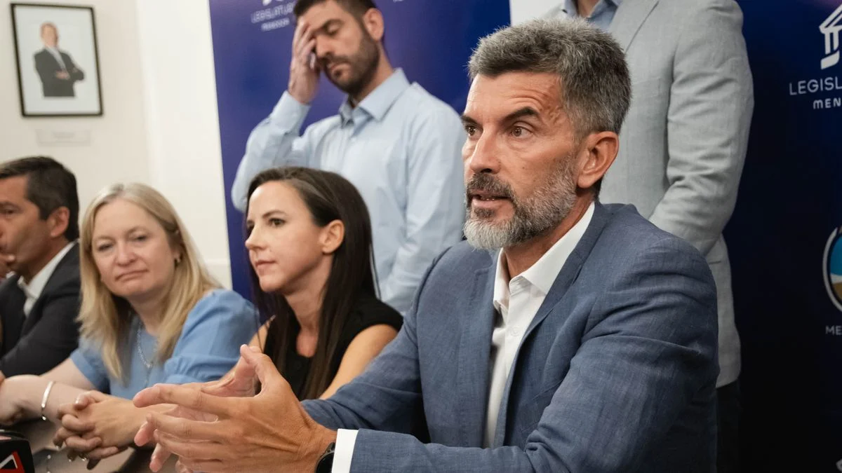 Ulpiano Suárez explicó cómo y cuándo se utilizarán las pistolas Taser en la Ciudad