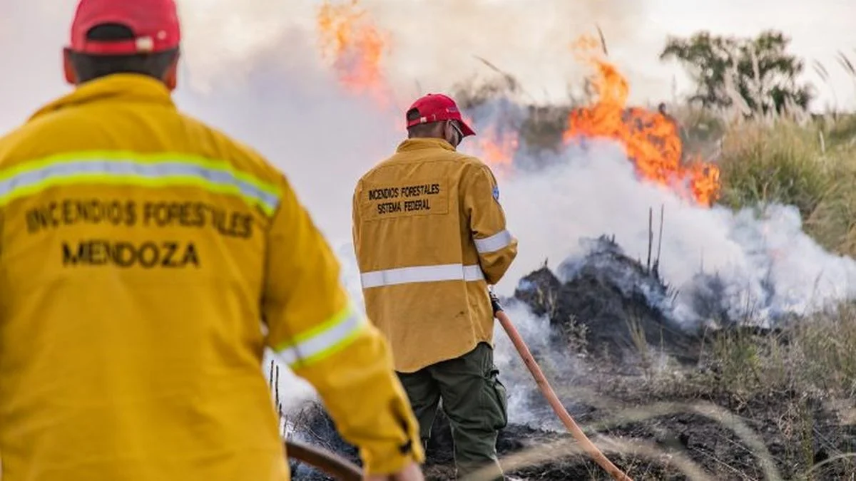 Mendoza enviará a once brigadistas al Sur para ayudar a combatir los incendios