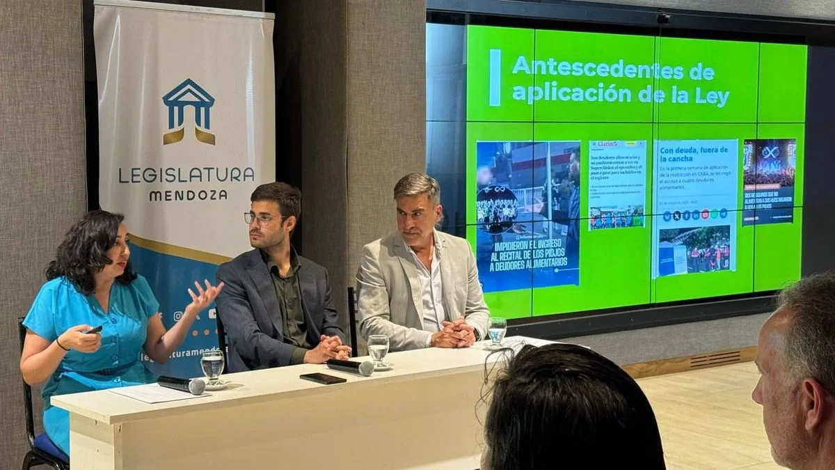 El Frente Verde presentó un proyecto que apunta a los deudores alimentarios: en qué consiste