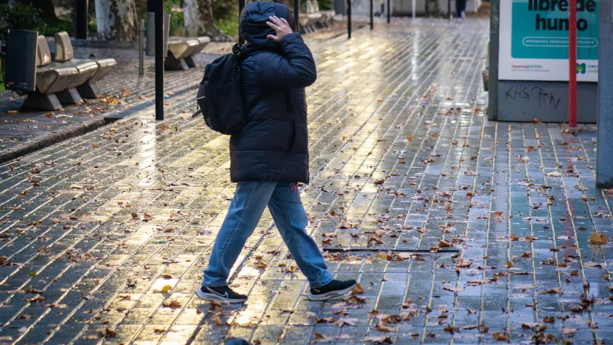 El tiempo en Mendoza: muy frío con heladas generales