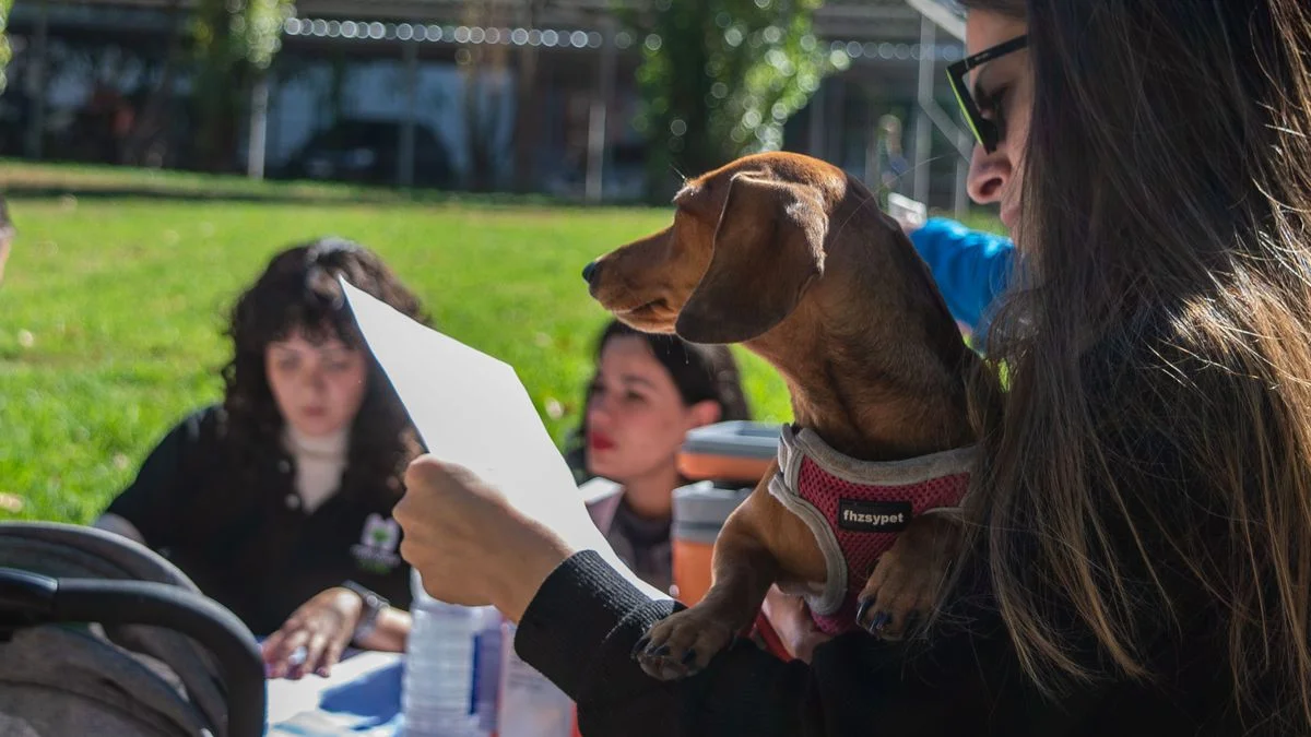 Ciudad informó el cronograma de servicios gratuitos para mascotas