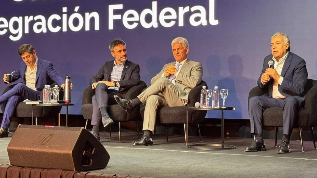 La frase de Cornejo con la que criticó a Axel Kicillof por sus declaraciones sobre la realidad del país