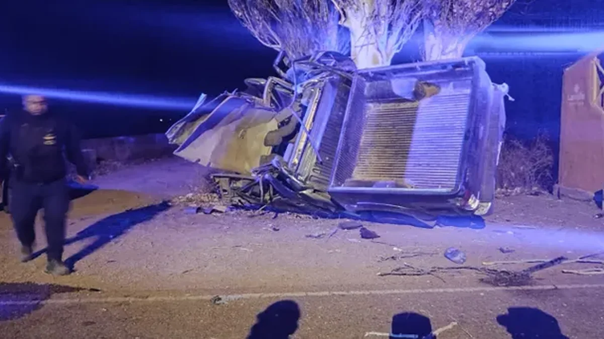 Dos hombres murieron tras chocar con una camioneta contra un árbol en Lavalle