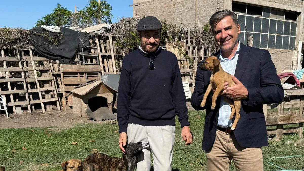La propuesta del Frente Verde que apunta a endurecer penas por maltrato animal